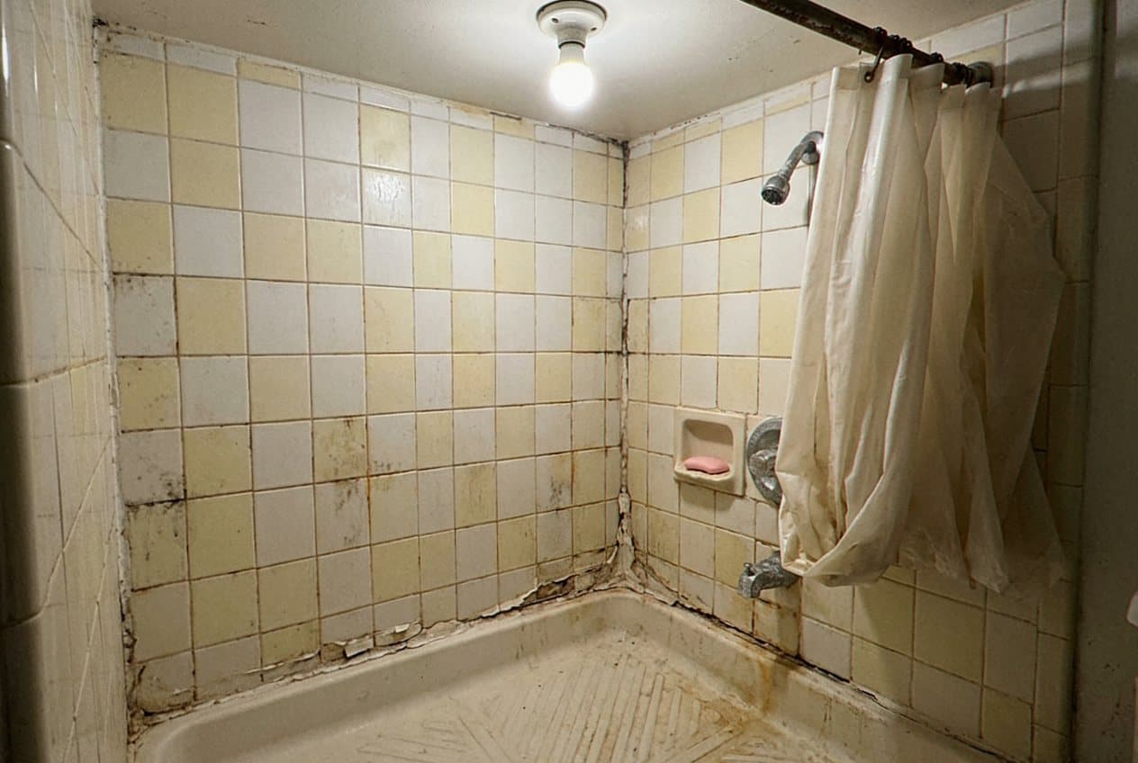 Moldy yellowed tile shower with a stained curtain